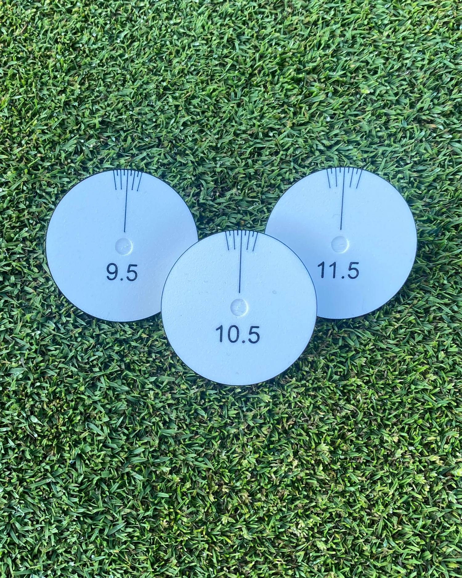 Aiming Discs